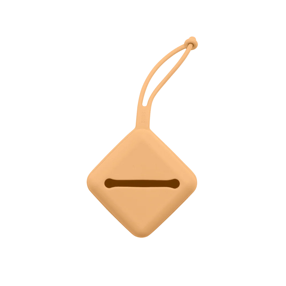 Pacifier Case - Pumpkin